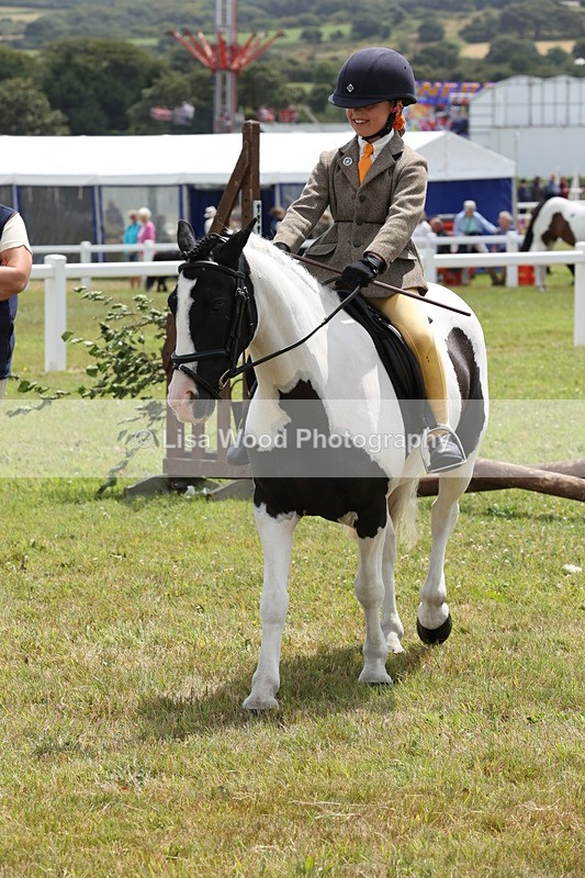 JPP_1973 - Class 18: Tiny Tots Working Hunter Pony