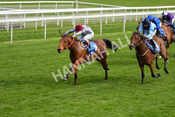 yr13052021r6-33 - Race 6 4.15pm Constant Security EBFstallions.com Maiden Stakes