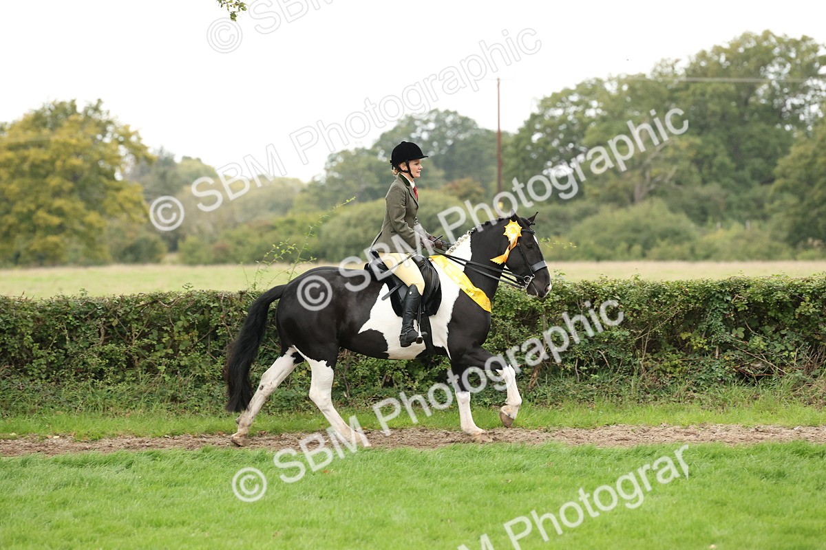 SBM_67327 - S67 - Piebald & Skewbald Horse Ridden