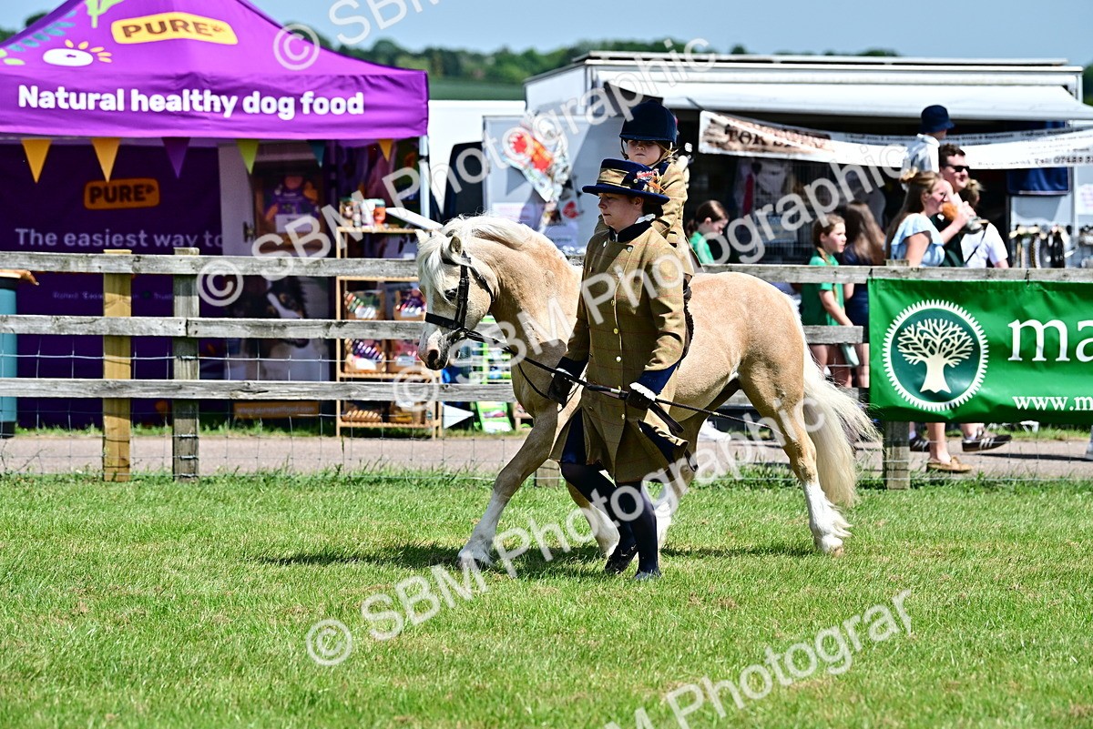 SBM_05930 - Class 59-60 - TSR M&M  Lear Rein and First Ridden Amateur of the year