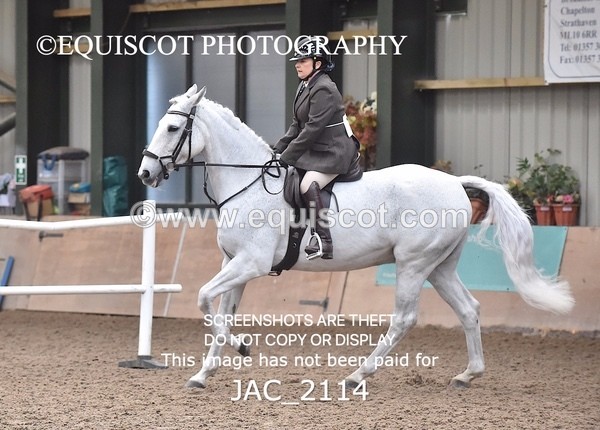 JAC_2114 - CLASS 1 Nursery Novice Working Hunter