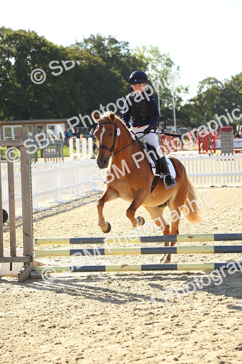 SBM_35999 - J5 - Junior Pony 50cm Championship