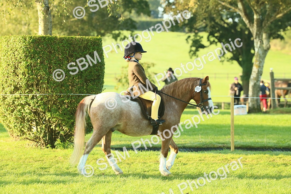 SBM_56775 - S36 - Starters Best Turnout