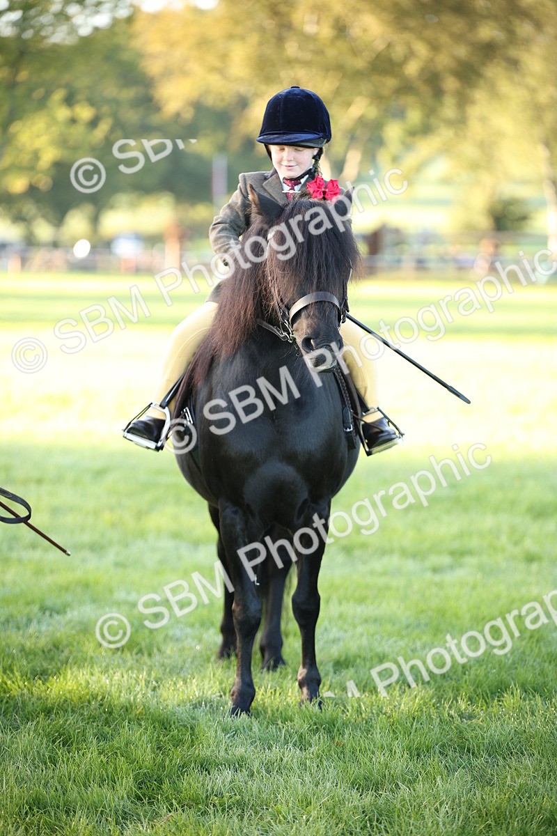 SBM_32311 - S8 - Best Turned Out