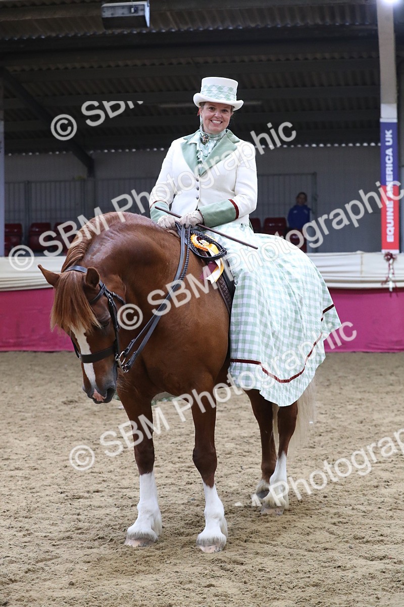 SBM_12063 - Class 106 Ridden Costume- Astride Adult (15-19)