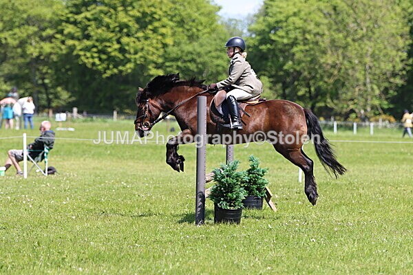 IMG_3612 - Working Hunter