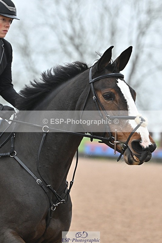 241103A-110115-06840 - SUN Cls 18 British Novice and 90cm Open