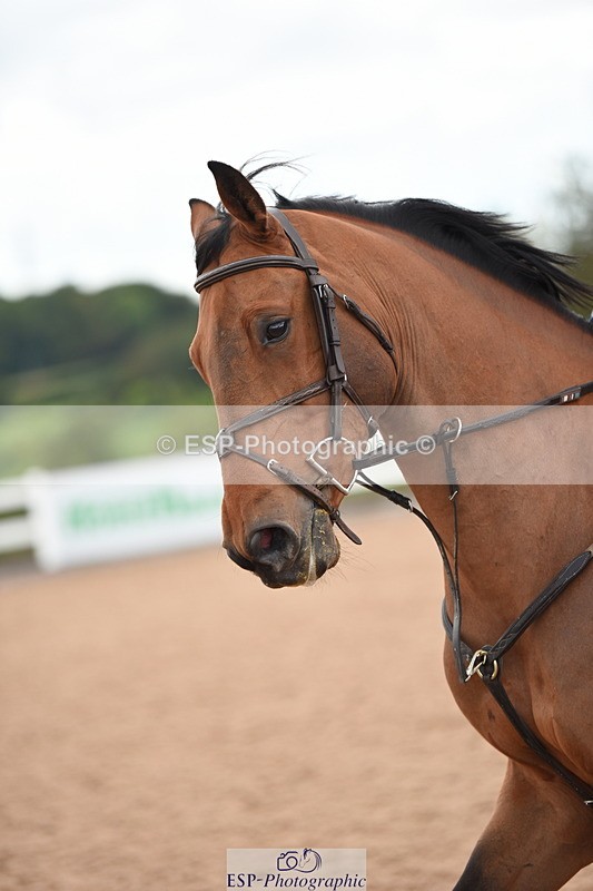 230830A-144546-01267 - Cls 5 Fox & Open