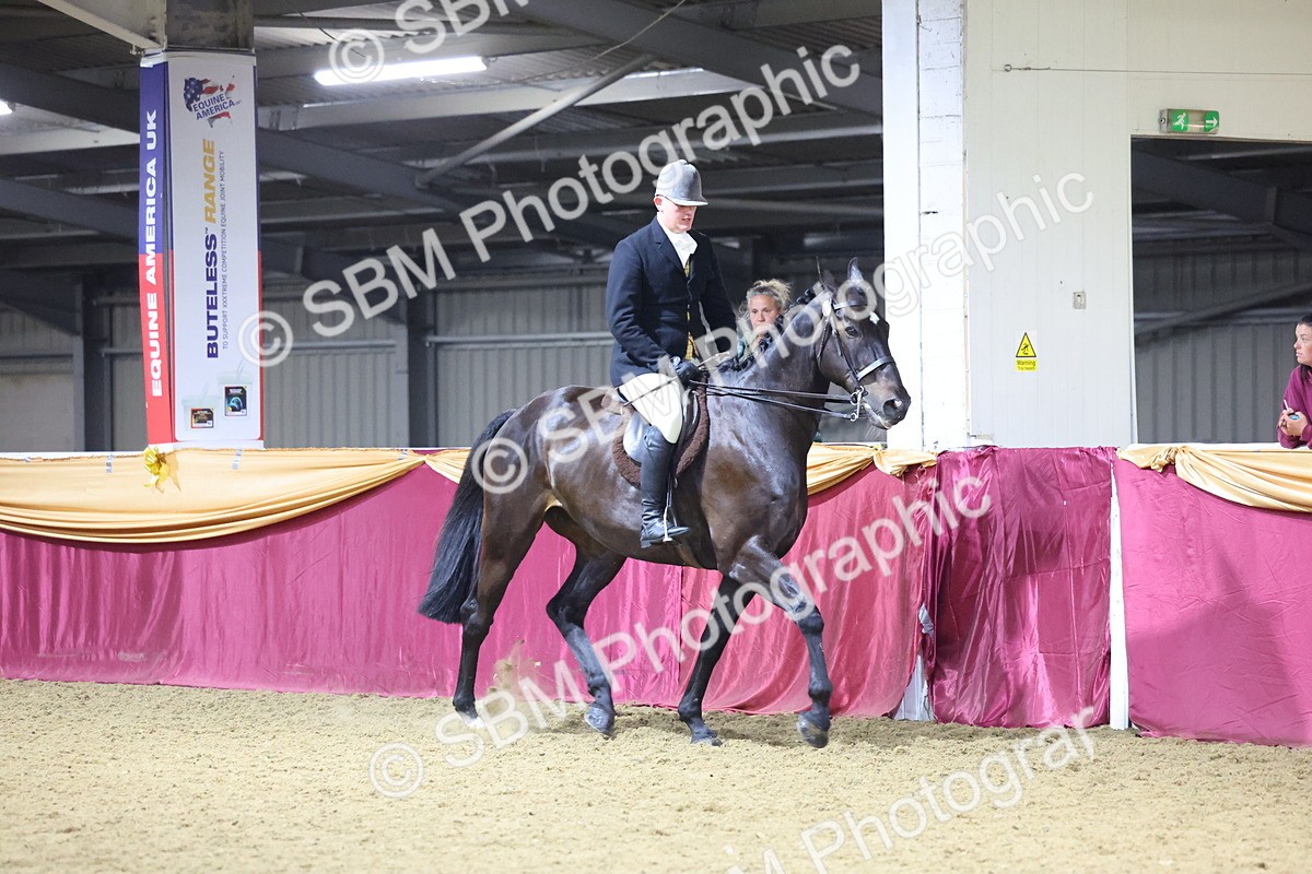 0B8A4463 - Class O Ridden Show Horse Champ