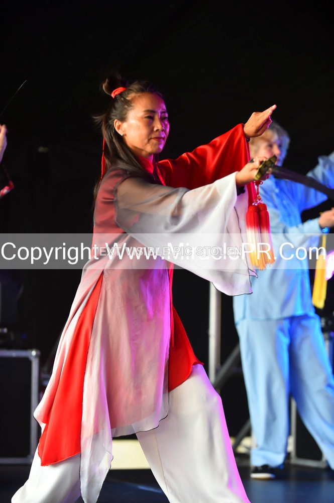 SH4_1608 - Tai Chi with Lisa Kay.