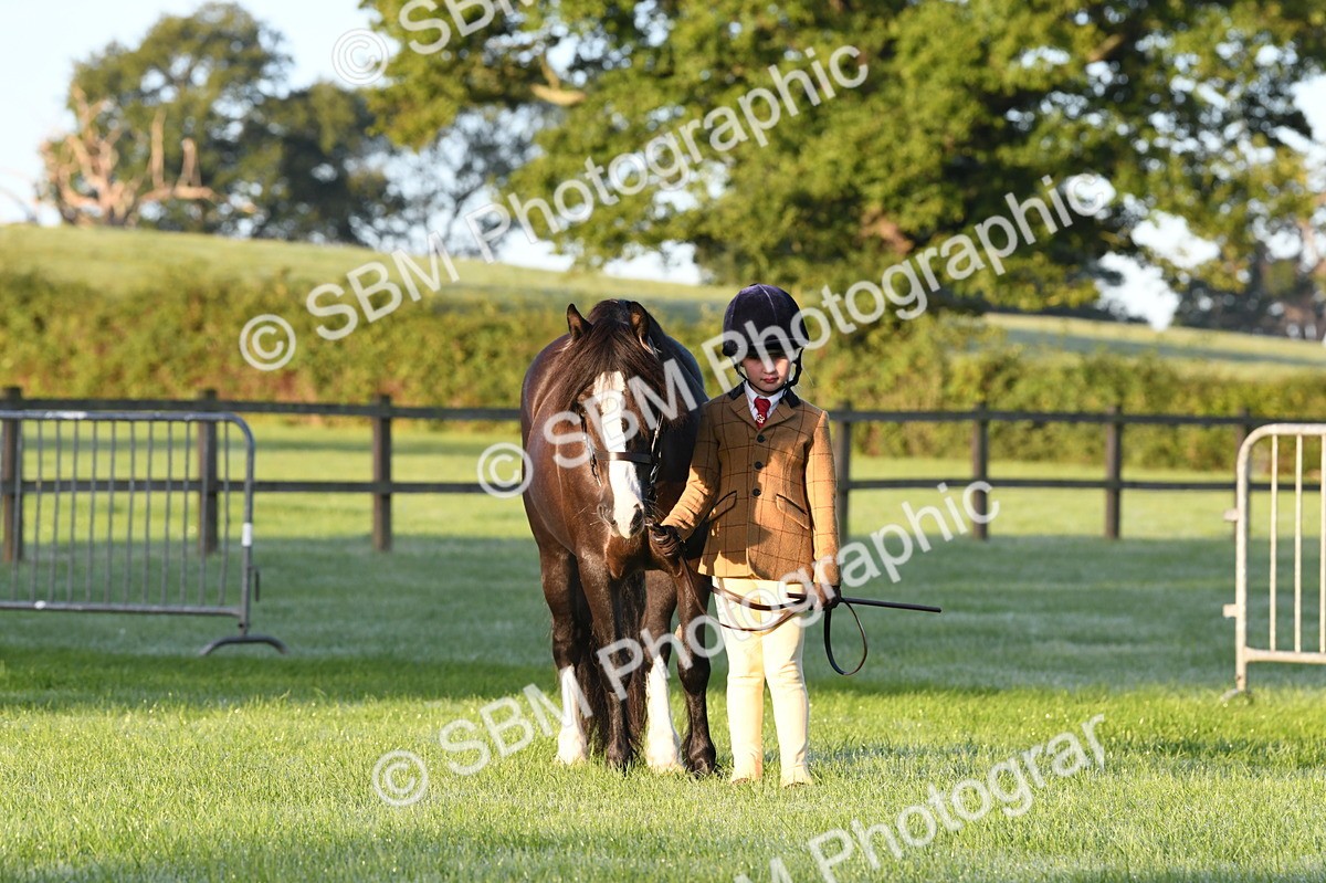 SBM_32501 - S15 - Condition & Turnout In Hand
