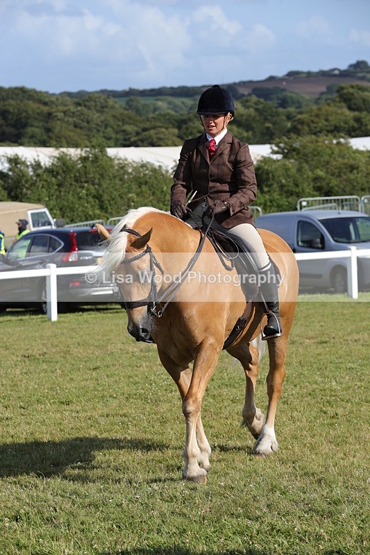 1X9A6054 - Class 43: NPS Welsh C & D
