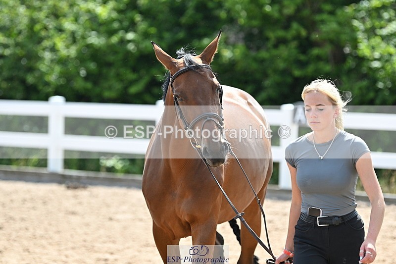 240717A-151339-02658 - Trot Up 3pm to 4pm
