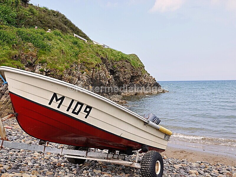 DSC00139 - Skomer 2019