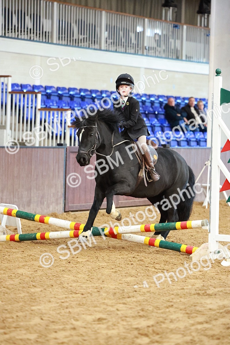 SBM_005179 - Class 1 - 40cm