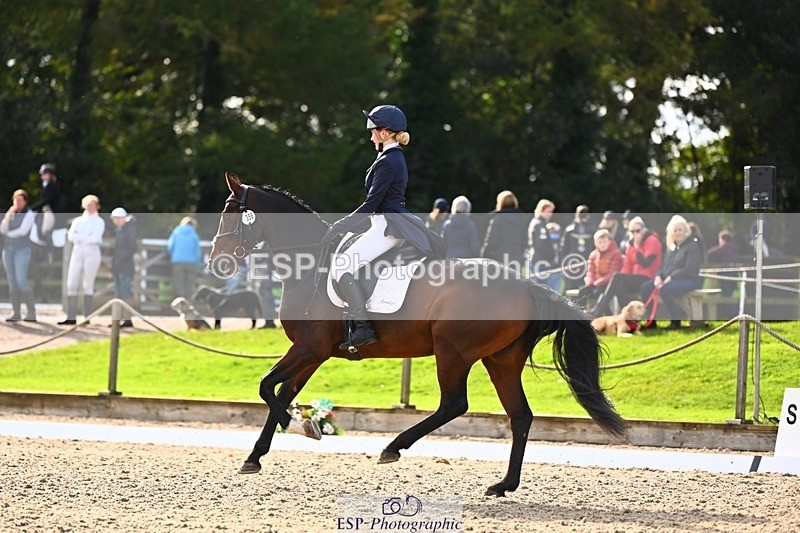 231021-141954-17808 - 356-KASAGRANDE.VR-Gemma.Watts-DR