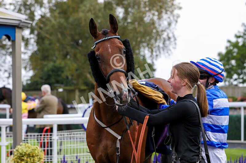 310824-Race 8-This Years Love-2399 - Race 8