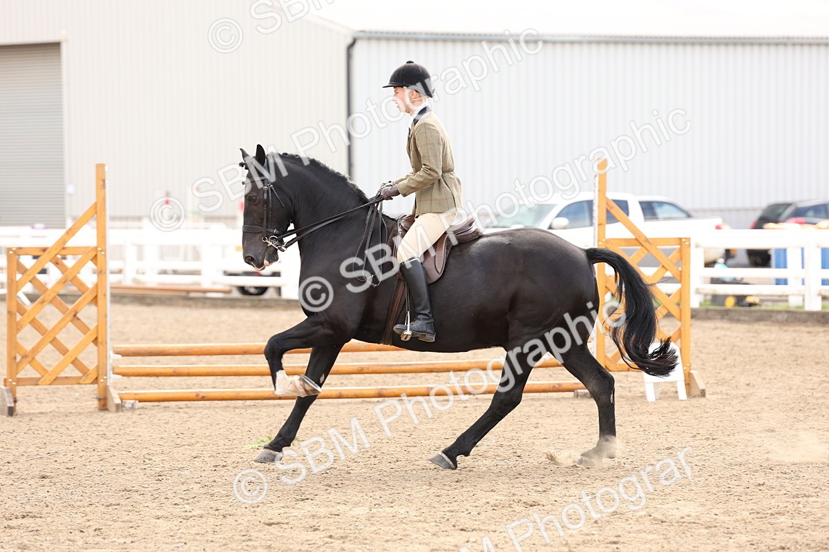 SBM_04224 - Class 54 - Riding Club Horse/Pony