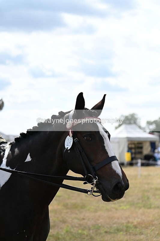 WJ7_6167 - Class 13 Ridden Veterans