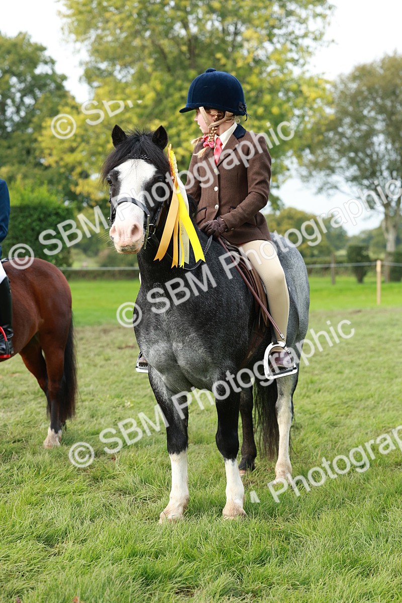 SBM_56471 - S39 - Starters In Hand Showing