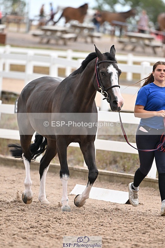 250716-145530-01513 - Trot Up 2.30 to 3.30