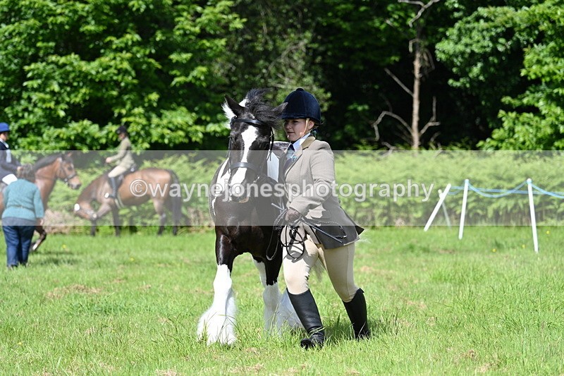 WJ7_1180 - Class 11 Condition & Turnout
