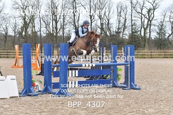 BPP_4307 - CLASS 1 Springboard 128cm/ 138cm Restricted Handicap