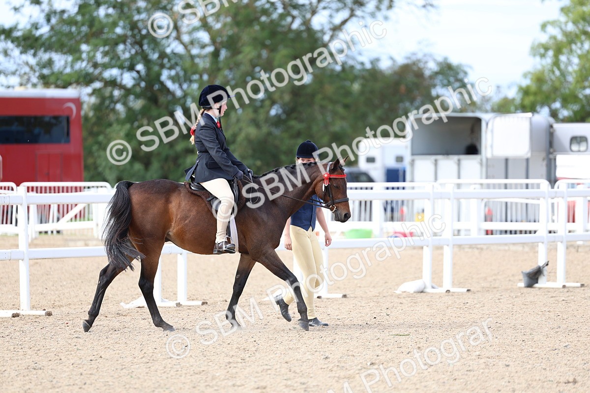 SBM_18291