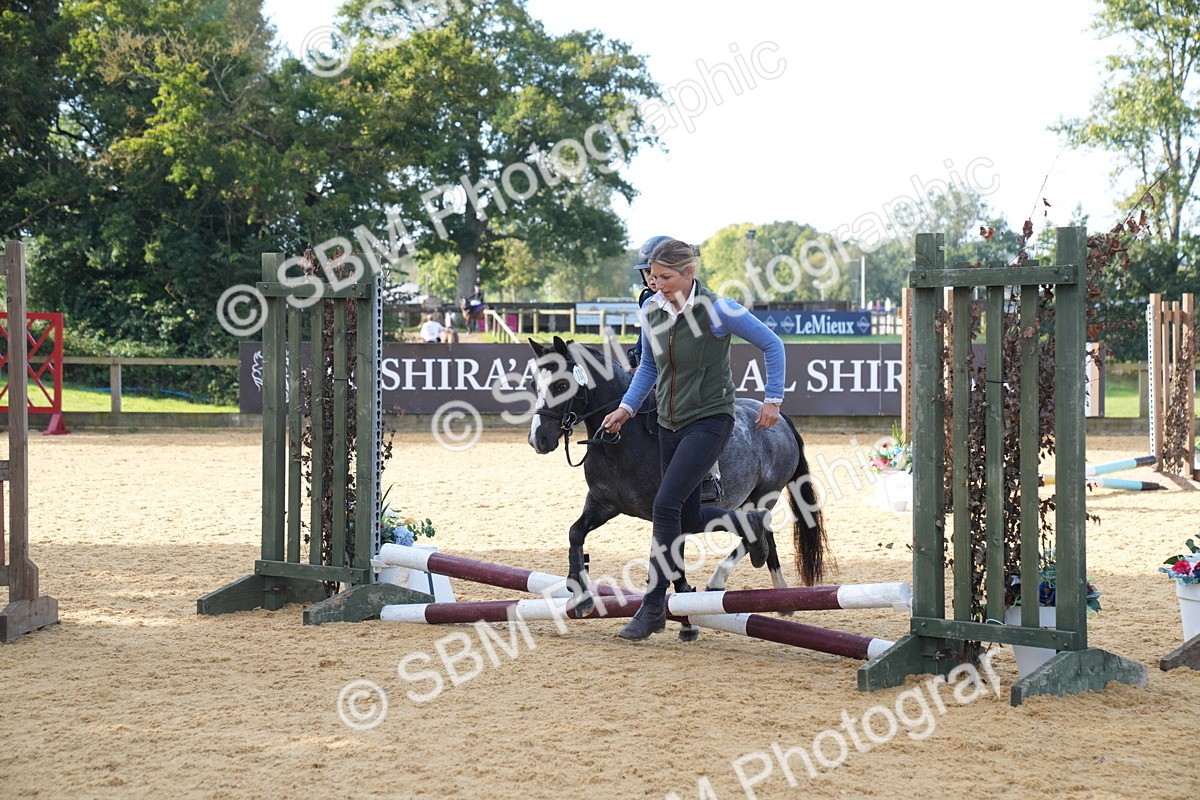 SBM_61312 - J1 - Mini Tour Junior Pony Lead Rein 30cm Championship