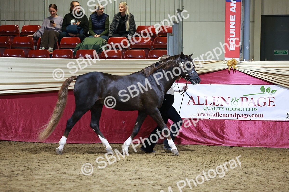 SBM_21505 - Class V - Champion of Champions