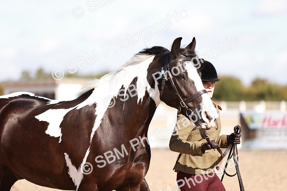 SBM_12609 - Class 404 - IH Traditional - Native Cob