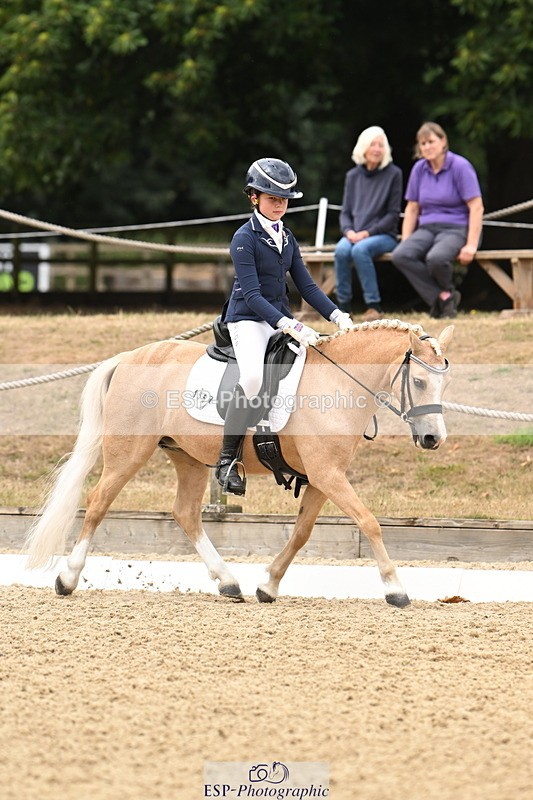 250808A-114219-00674 - 155-Rose.Cassapi-Westfirle.Golden.Oriole
