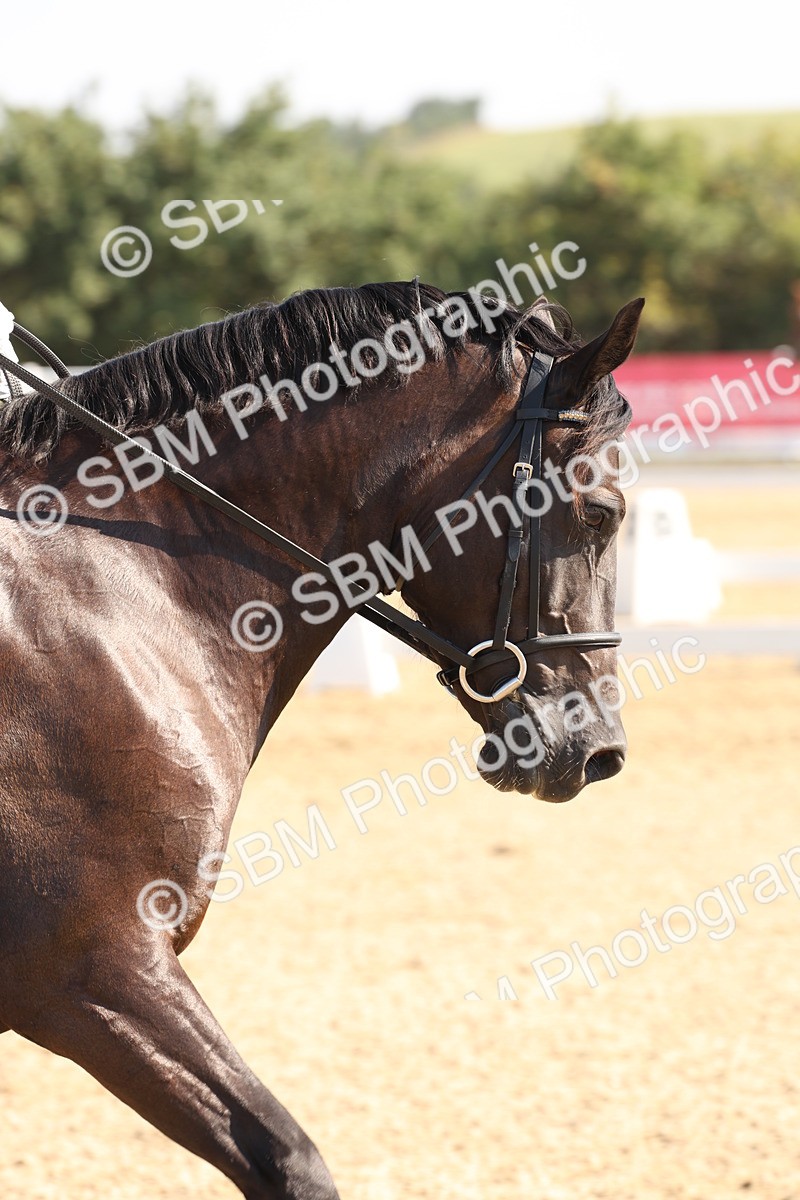 SBM_002936 - Prelim 4 - Warm Up