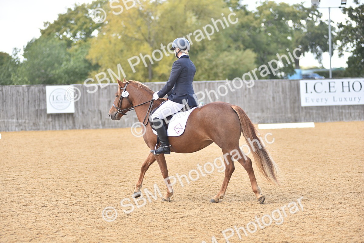 SBM_03294 - D4 - Small Tour Championship Intro 4