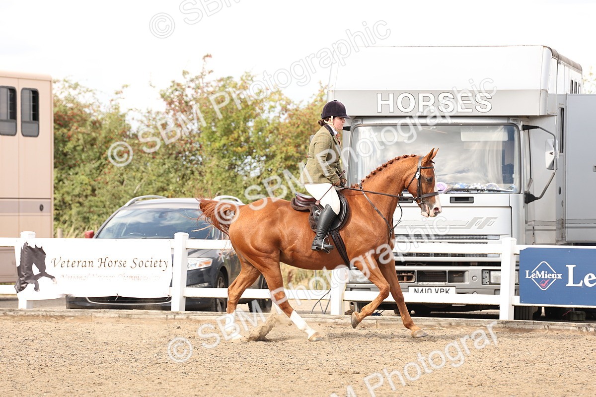 SBM_07446 - Class 59a -  Style & Performance - 80cm (15-19)