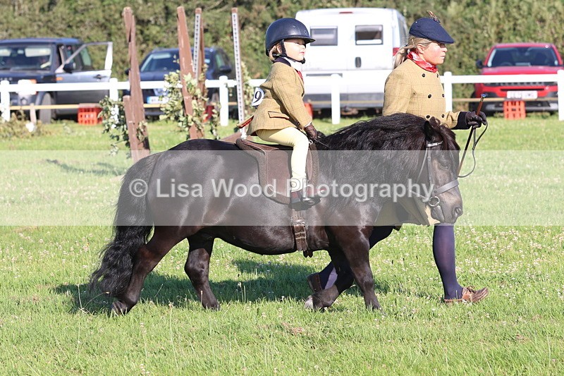 JPP_0809 - Class 16: Cornish Combination Leading Rein