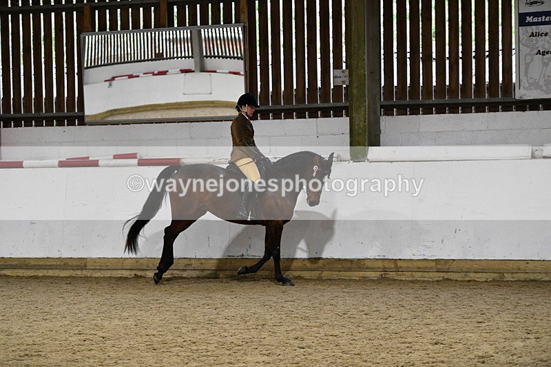 WJ5_8853 - Class 15 Ridden Show Horse