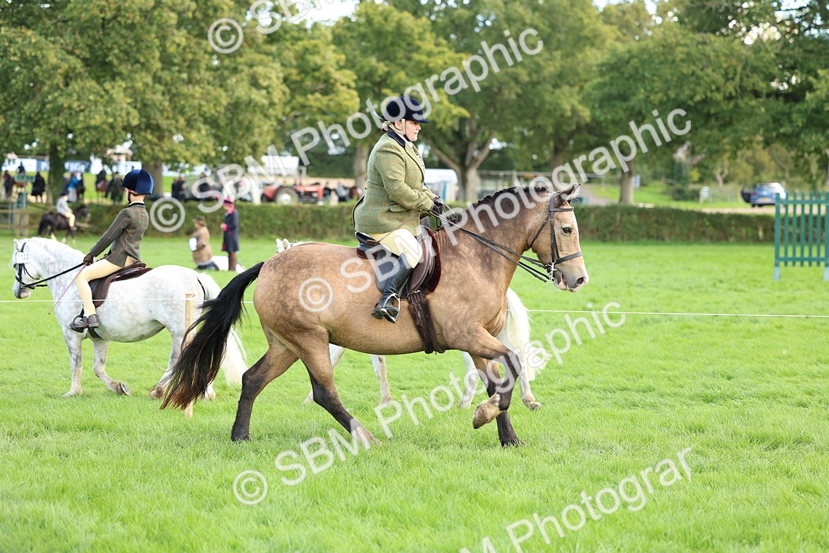 SBM_45544 - S33 - Working Hunter Pony