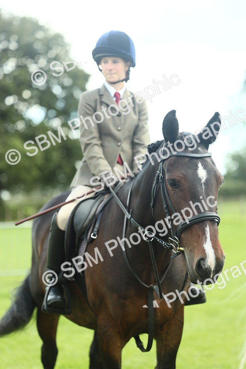 SBM_42218 - S29 - Novice & Newcomers Working Hunter Pony