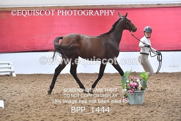 BPP_1444 - MORNING 9AM - 12PM