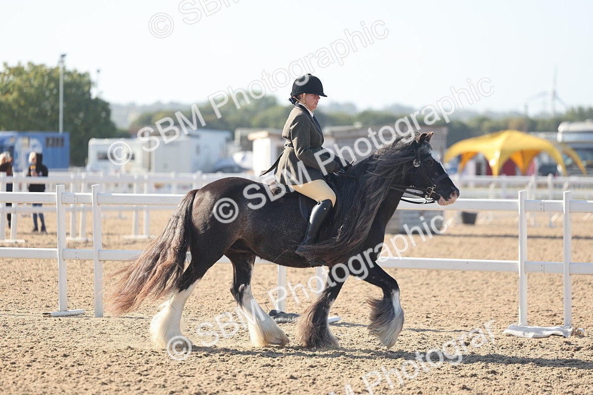 SBM_22203 - Class 802 - Ridden Groom Helpers Class