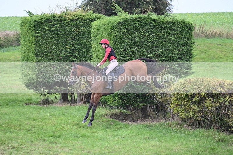 WJ7_9208 - Time 14:01 to 14:20