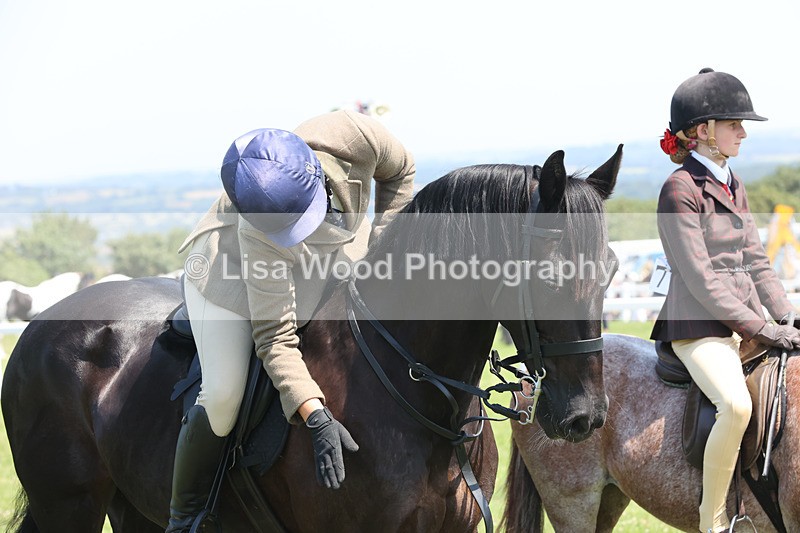JPP_2929 - Class 21: Working Hunter 60cm