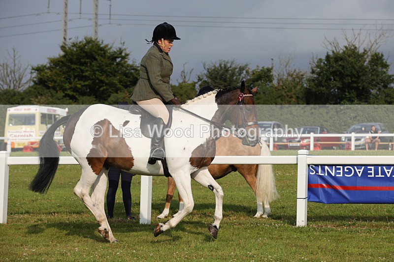 1X9A2857 - Class 25: Ridden Plaited Coloured Horse
