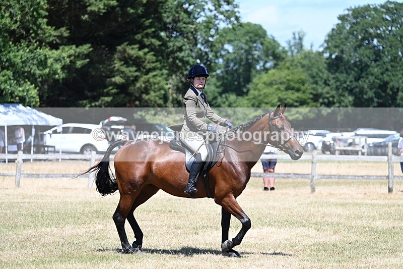 WJ7_3049 - Class 7 Riding Club Show Horse