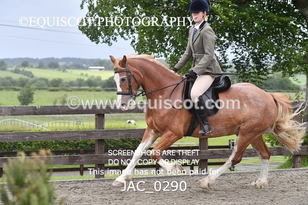 JAC_0290 - CLASS 4 BSPS Scone Palace HT Training Stakes Series (0.60m