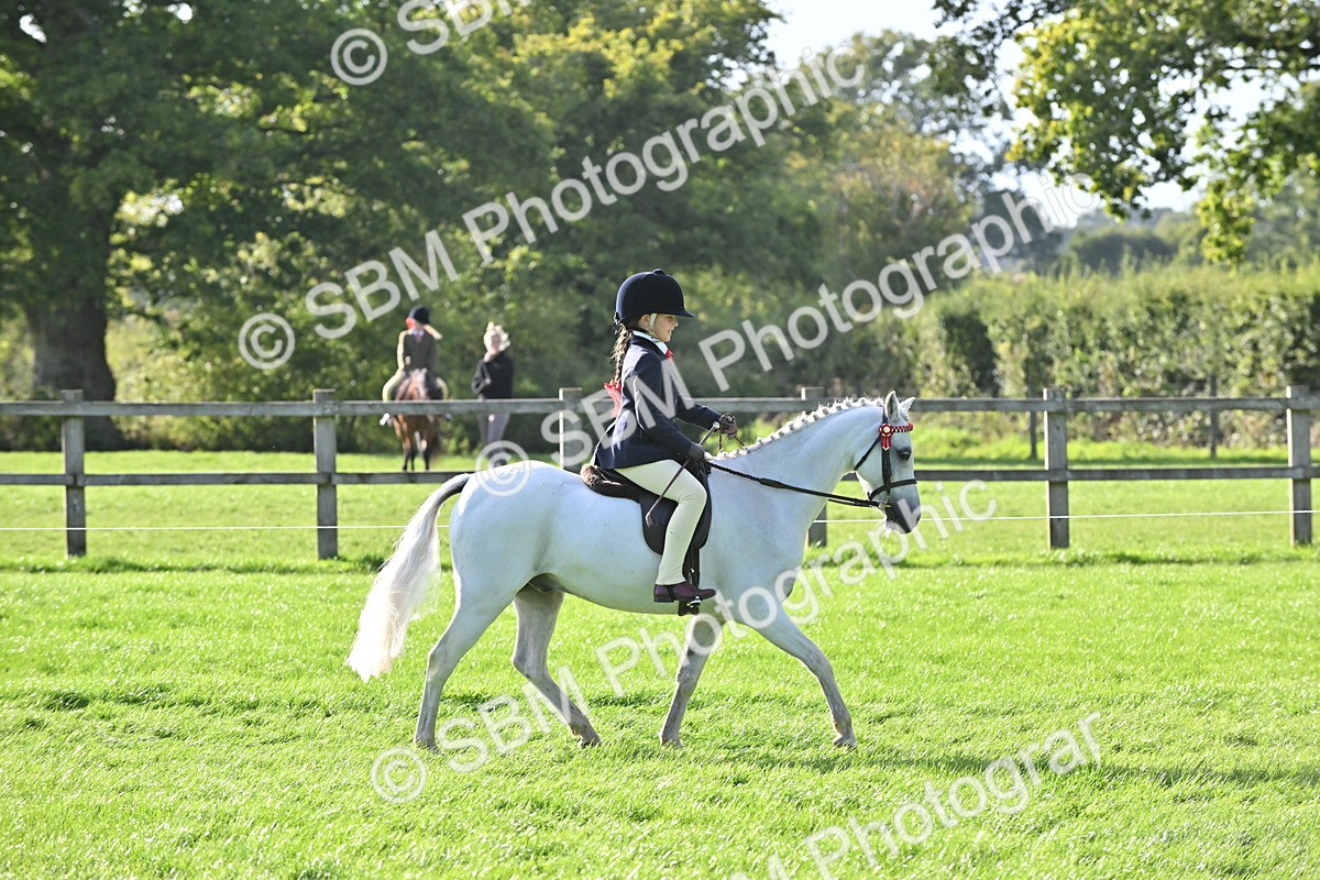 SBM_51250 - S22 - First Ridden show and show Hunter Pony