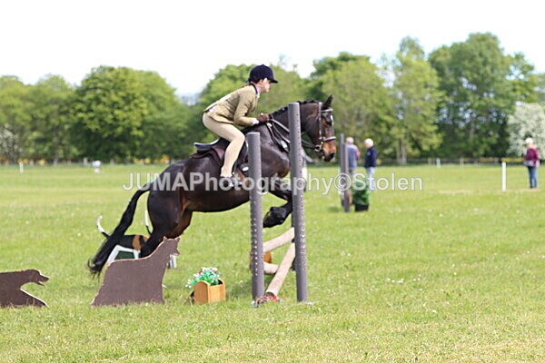 IMG_3136 - Working Hunter
