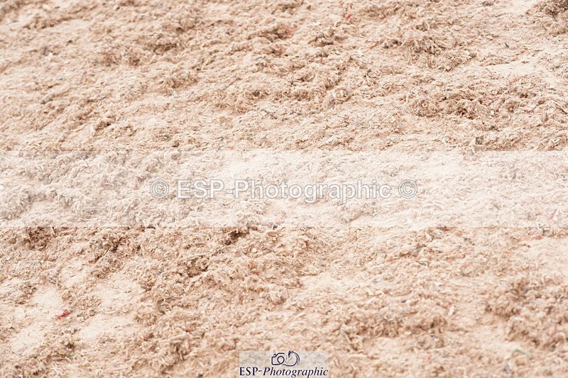 250505-154656-05111 - Cls 10+11 Children on Horses