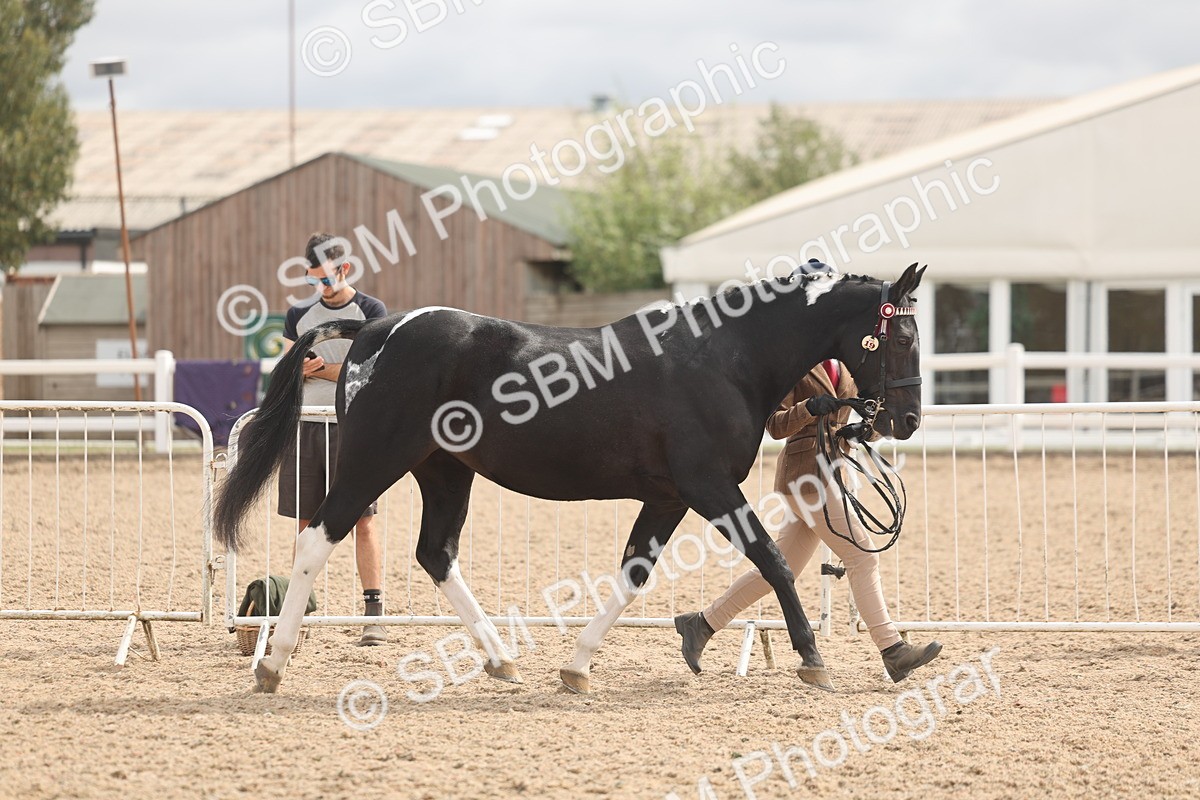 SBM_04942 - Class 20 - IH Veteran